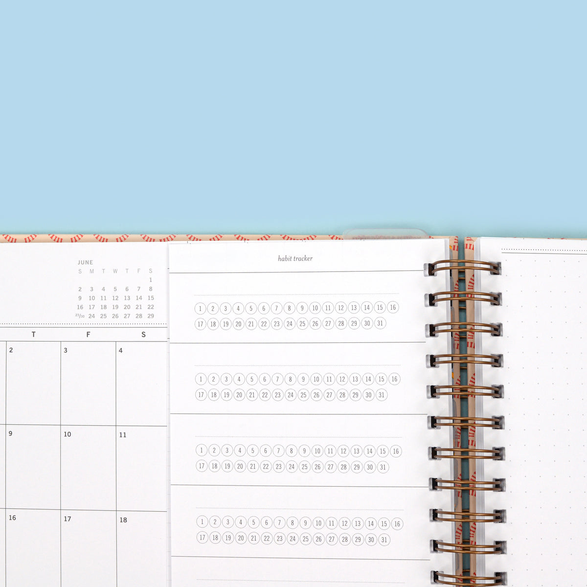 2024 Vertical Weekly Planner, Lollipop