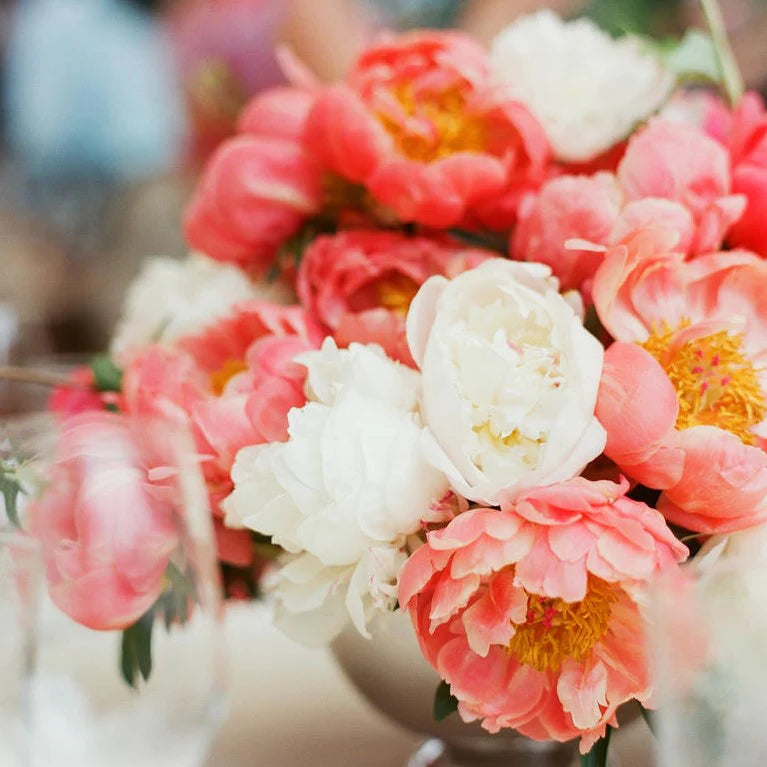 Peony Coral Charm