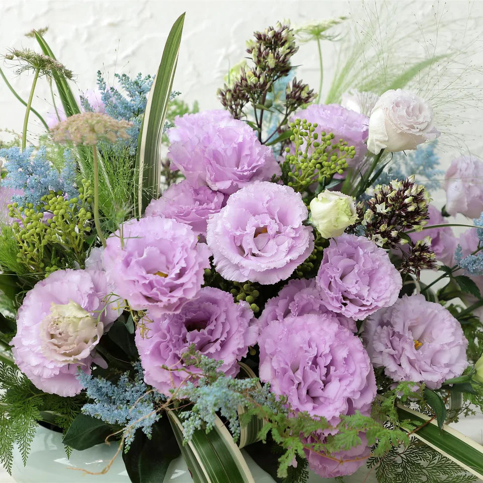 2026 Week 8 | Lisianthus Voyage Lavender | 10 Pack