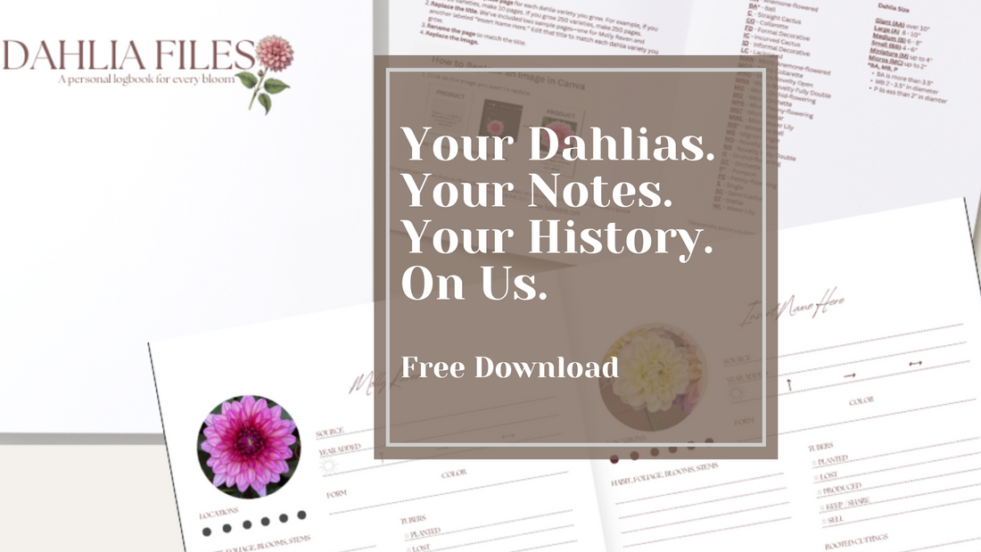 The Dahlia Files - Your Free Dahlia Journal