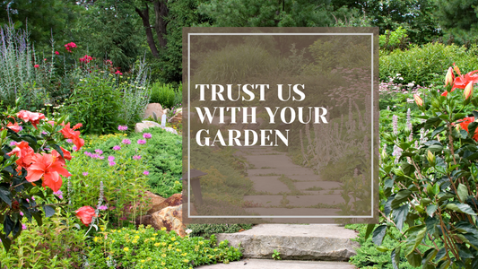 Why You Can Trust Fuirk Home With Your Garden Dreams