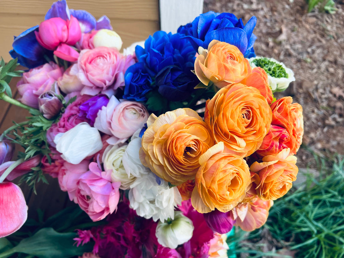 How to Grow Ranunculus