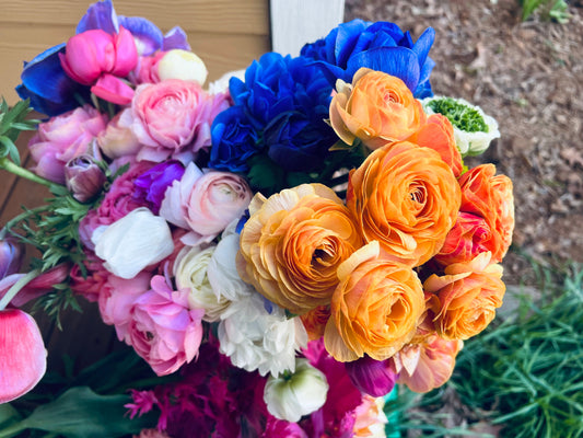 How to Grow Ranunculus