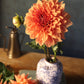 Dahlia 'Clyde's Choice'