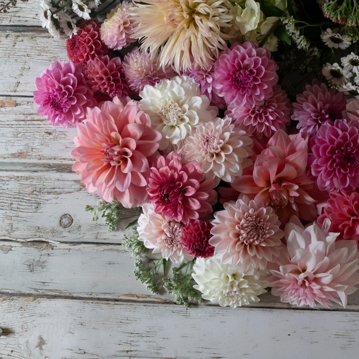 Concierge Early Access - Limit 10