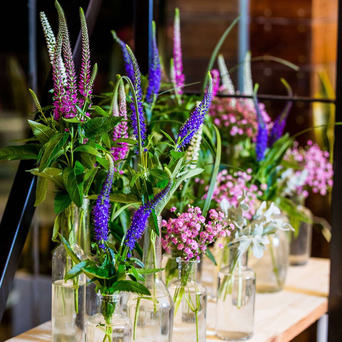 Week 11 | Veronica Skyler™ White Improved | 4 Pack