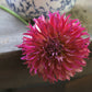 Close-up of a pink flower with a blurred background